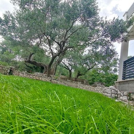 Vila Dolani Klek Exteriör bild